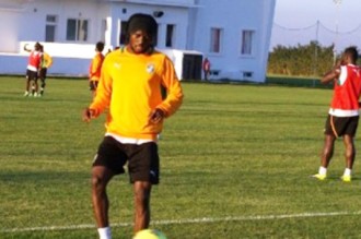 Mondial 2014 : Gervinho retrouve la pelouse avec les éléphants au Maroc 